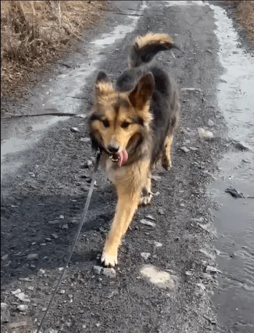 Томас