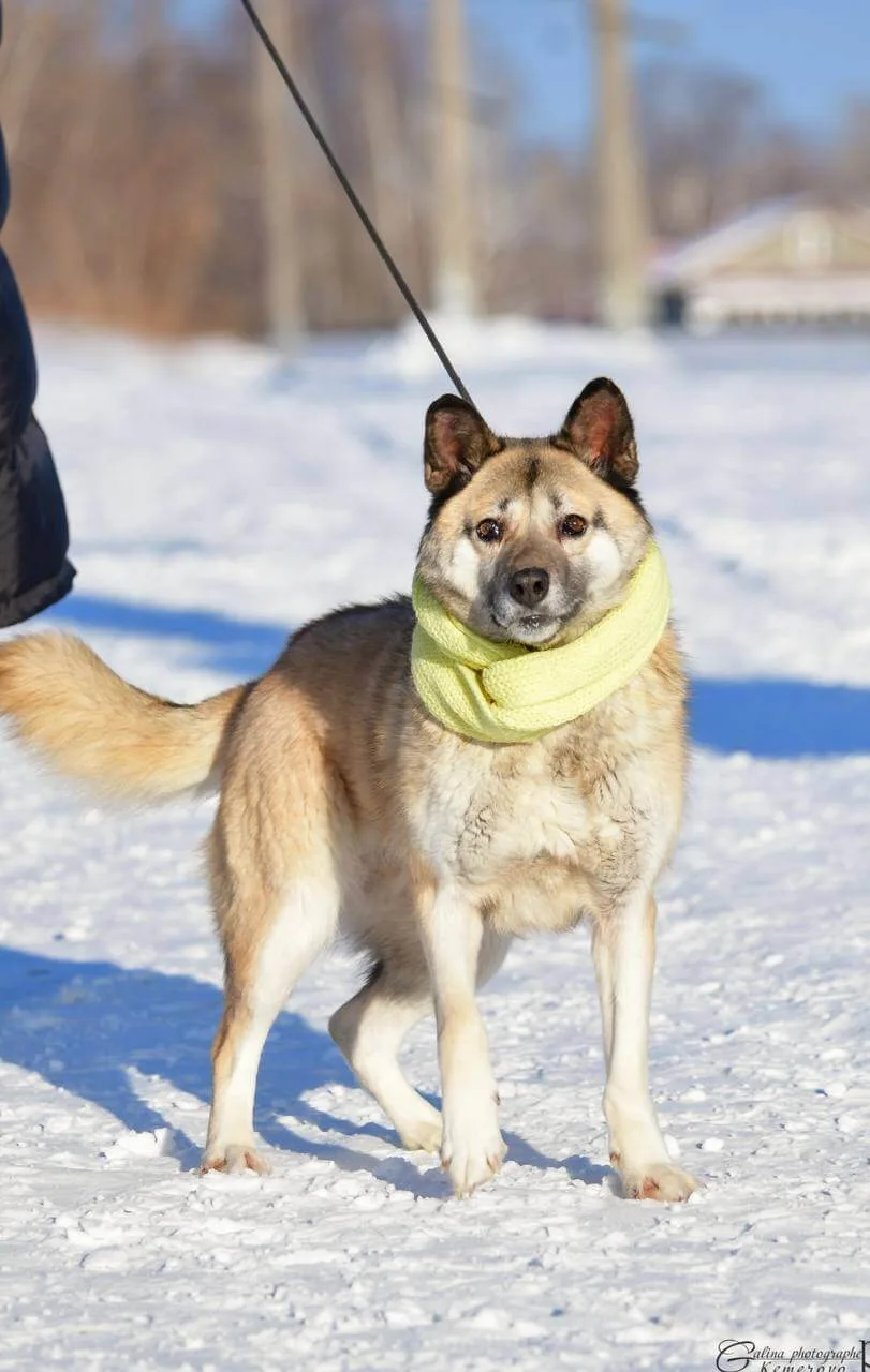 Юма