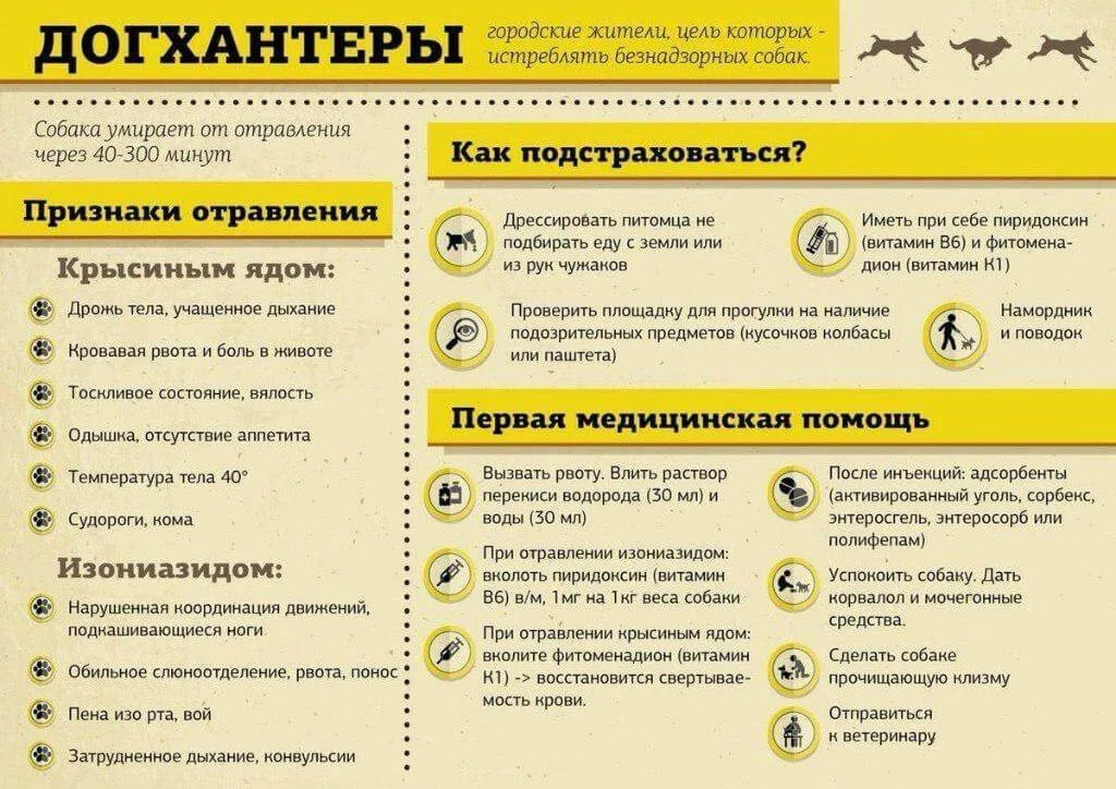 Внимание! Информация про догхантеров