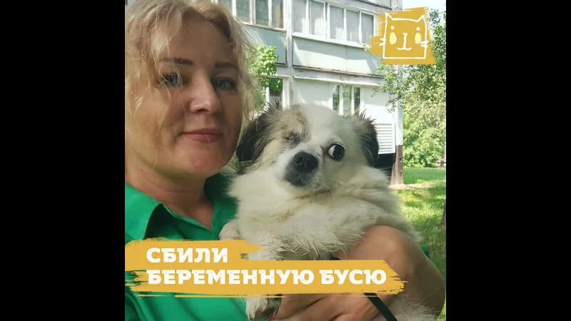 История спасения Буси