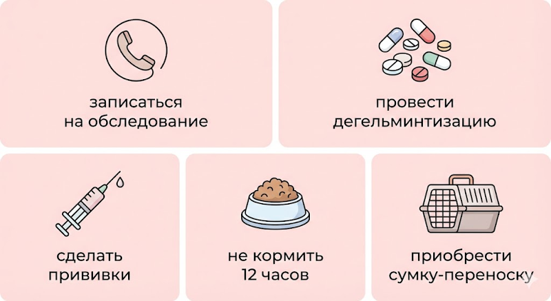 Стерилизация домашних животных : Долгая и счастливая жизнь вашего питомца