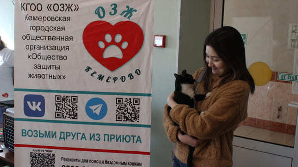 Выставка «Коты-философы» в Кемерово