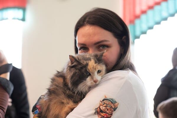 Выставка «Коты-философы» в Кемерово 2