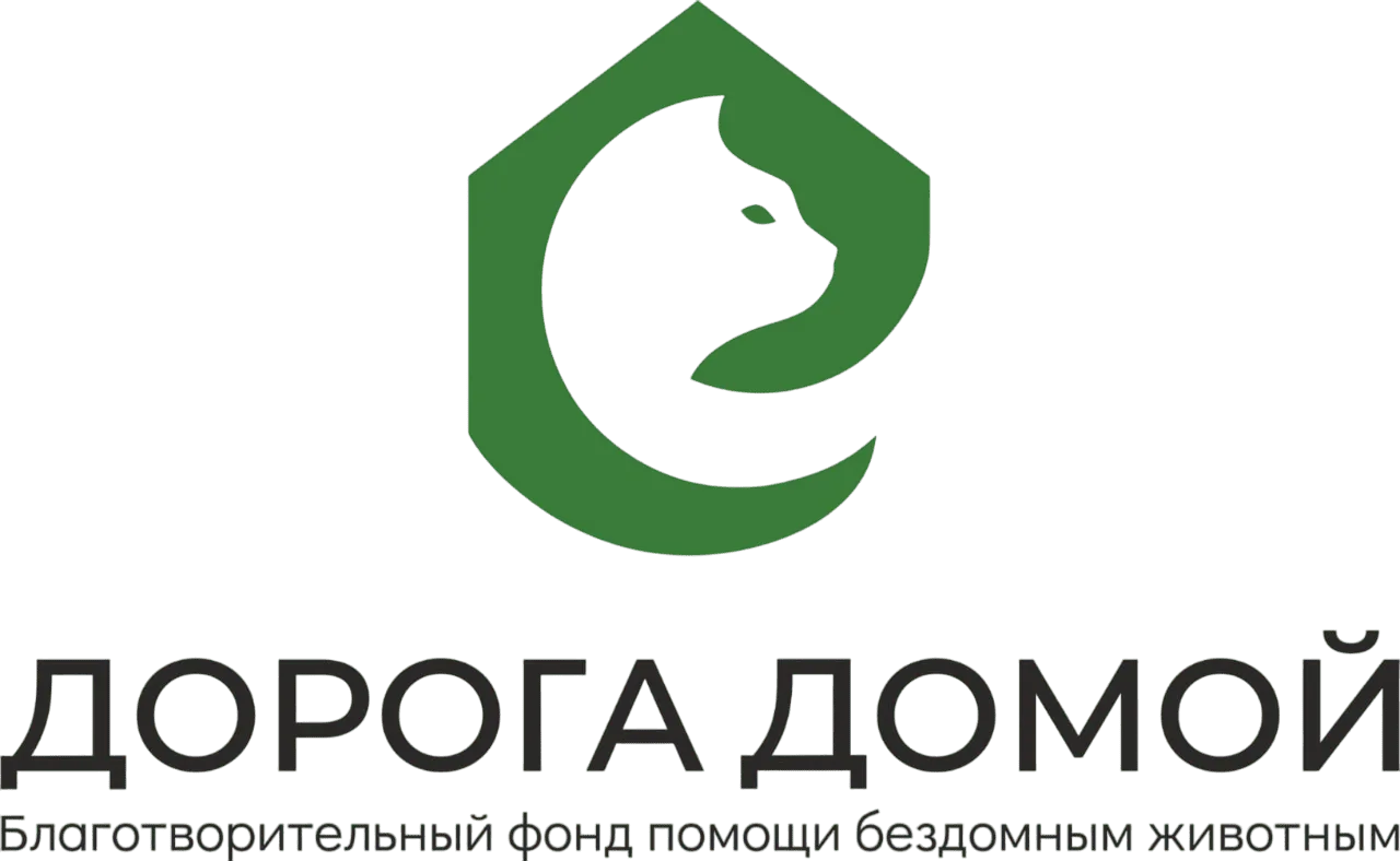 Дорога домой